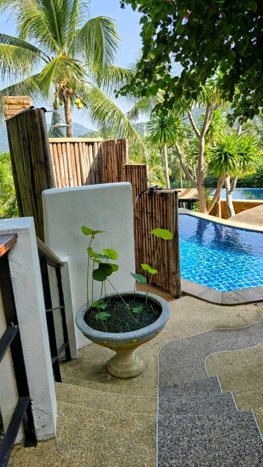 Emerald Oasis Pool Koh Tao